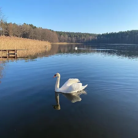 בית נופש Mazurskie Klimaty - Z Widokiem